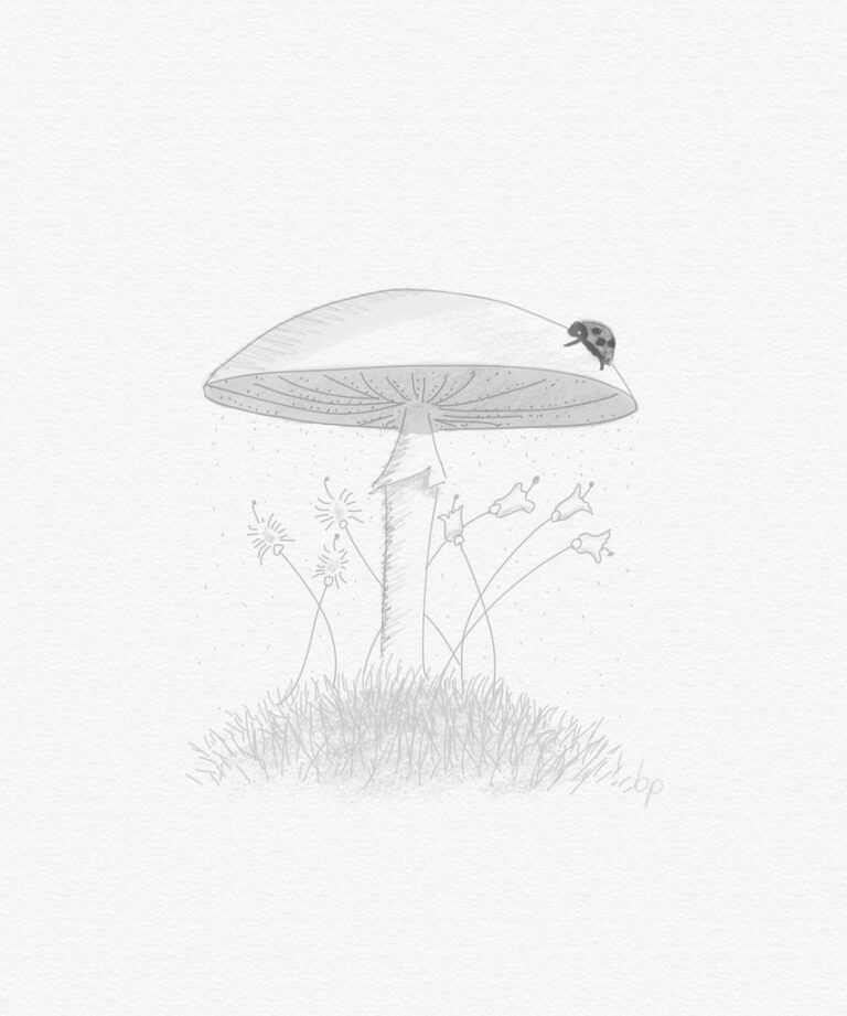 COMO CONFIGURAR EL APPLE PENCIL
