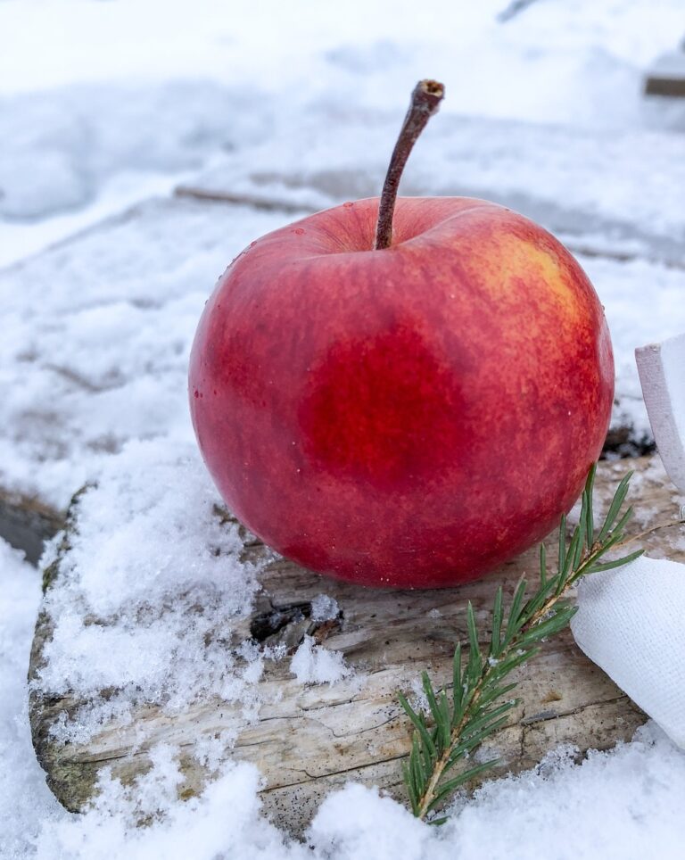 COMO CONFIGURAR LA MANZANA DE APPLE